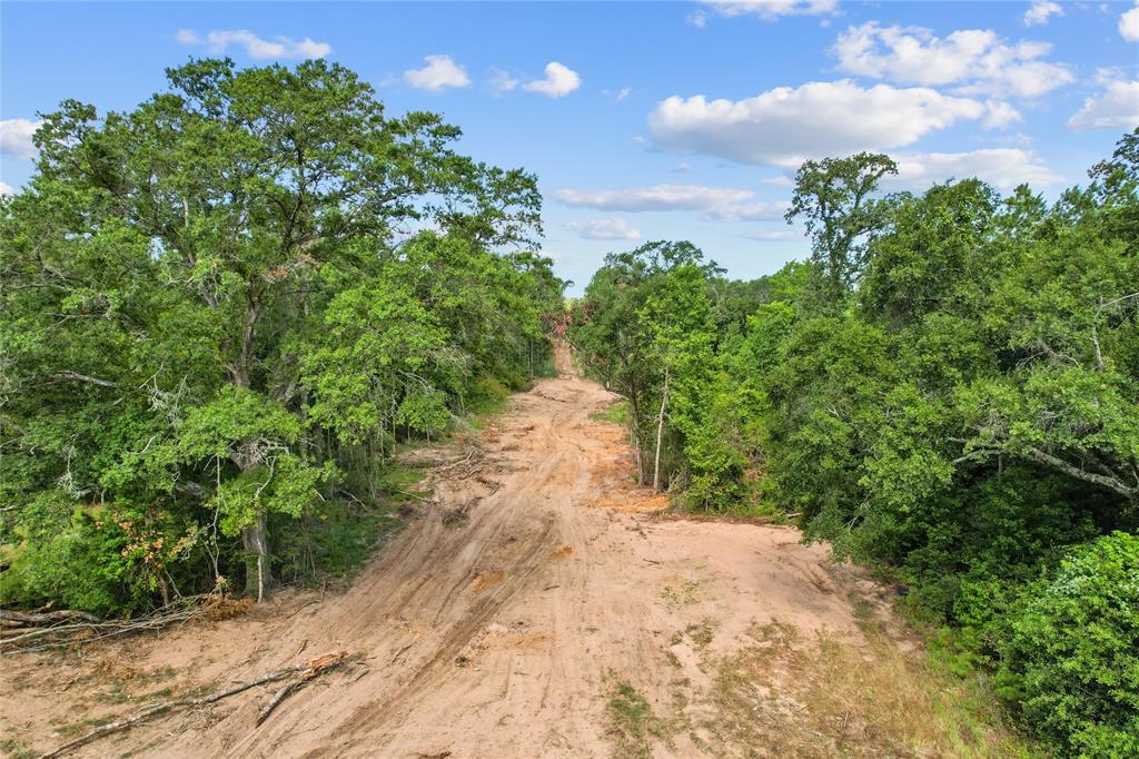 24816 Two Rivers Road, Montgomery, Texas image 12