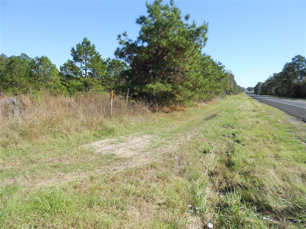 287 Truscott Road, Groveton, Texas image 3