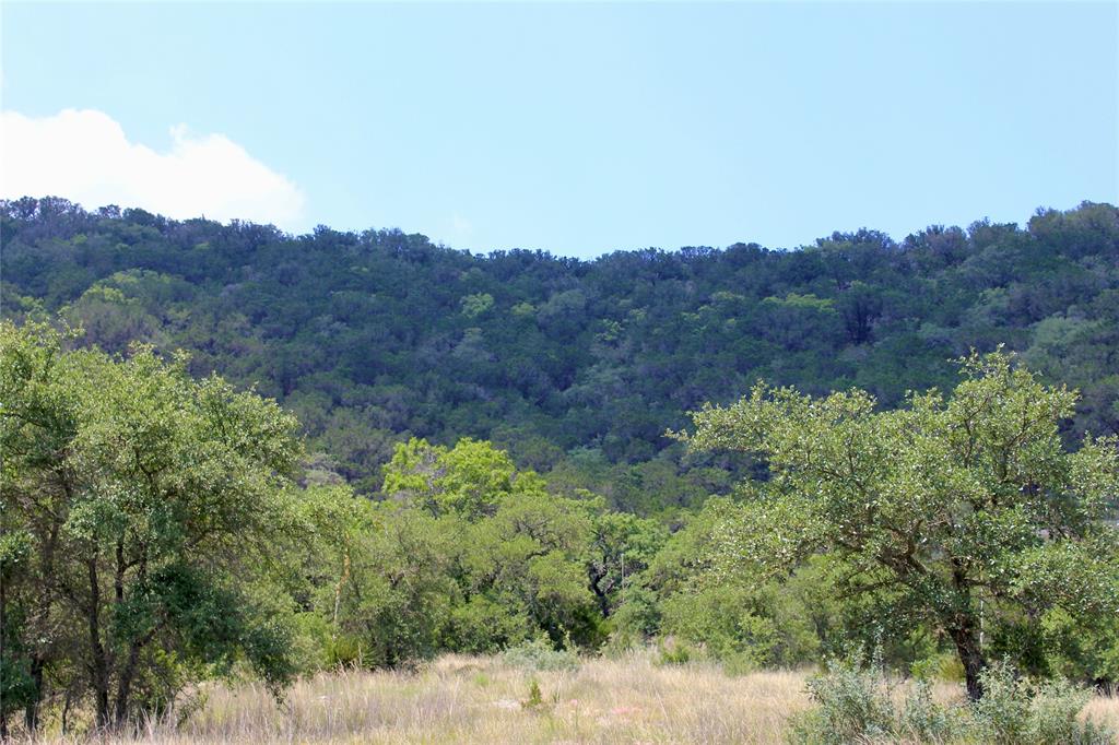 Tbd Walden Ridge Drive, Bandera, Texas image 14