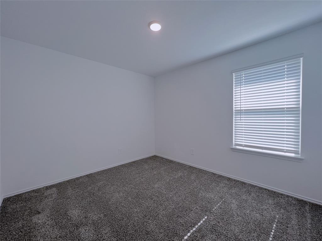 21310 Black Leaf Drive, New Caney, Texas image 23