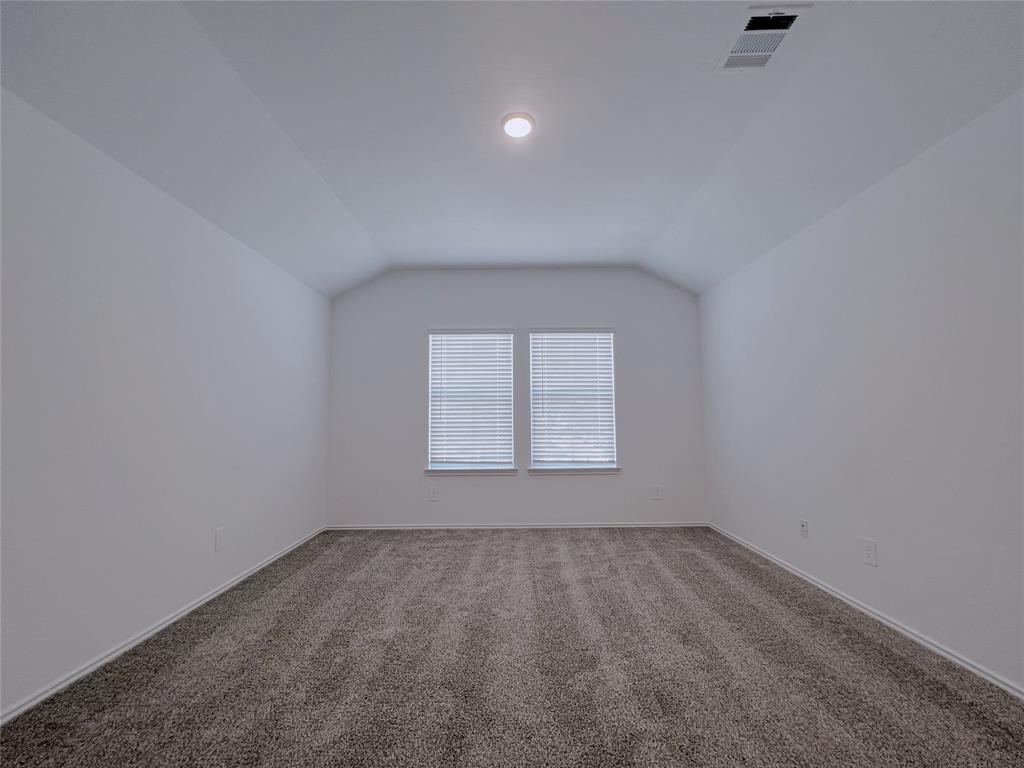 21310 Black Leaf Drive, New Caney, Texas image 21