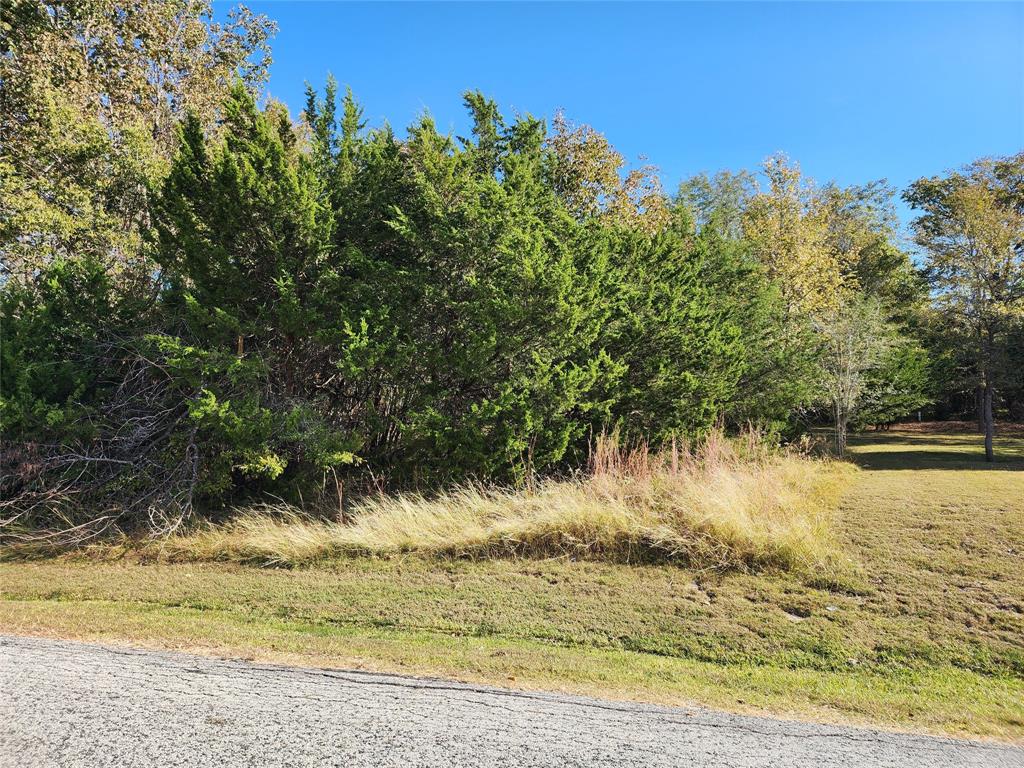 10 N Forest Cove Loop, Coldspring, Texas image 4