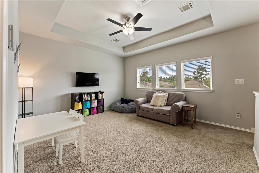 115 Buckeye Drive, Montgomery, Texas image 28