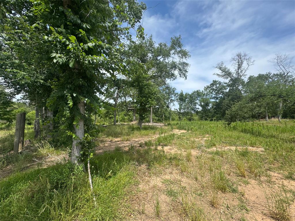 38056 S Bonnie Lake Drive, Hempstead, Texas image 6