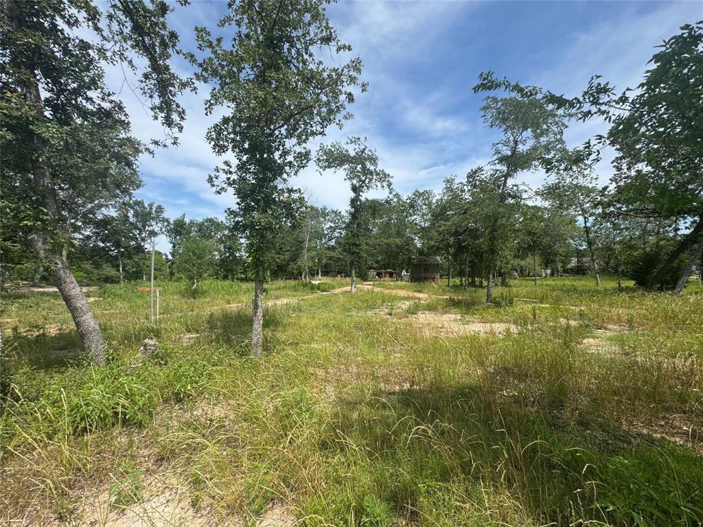 38056 S Bonnie Lake Drive, Hempstead, Texas image 5