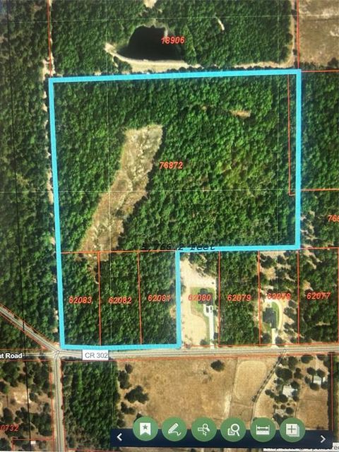 33+/- Acres County Road 302 Plantersville TX 77363