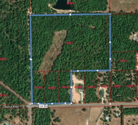 4 Tax ID County Road 302 Plantersville TX 77363
