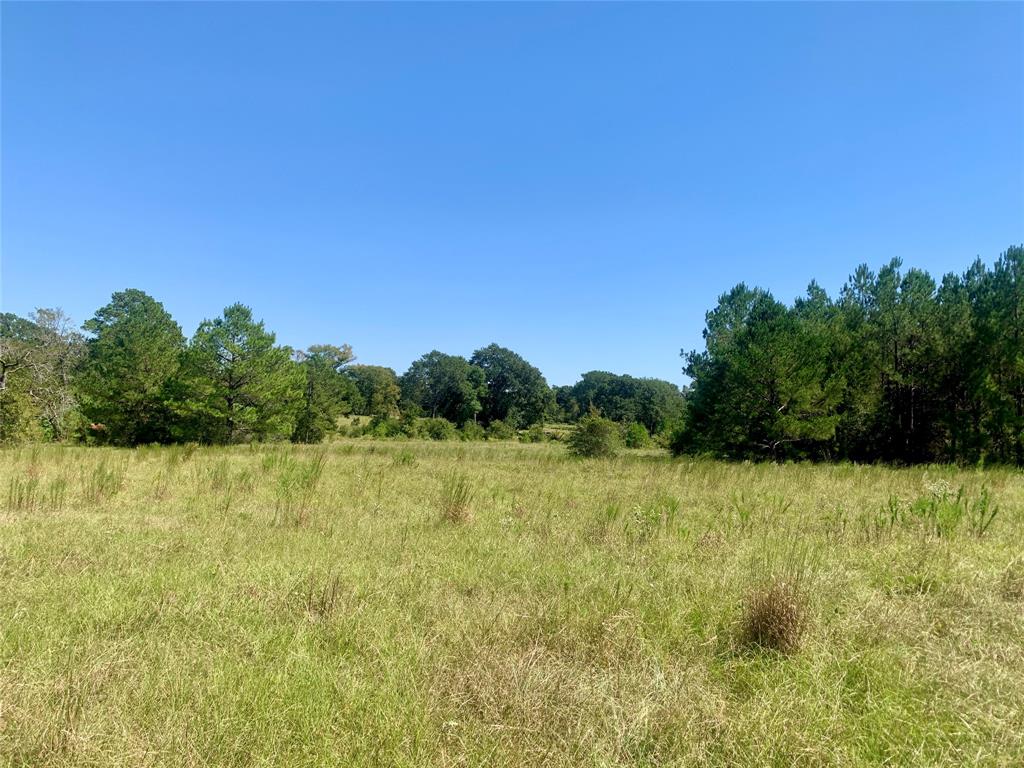 000 County Road 137, Bedias, Texas image 26