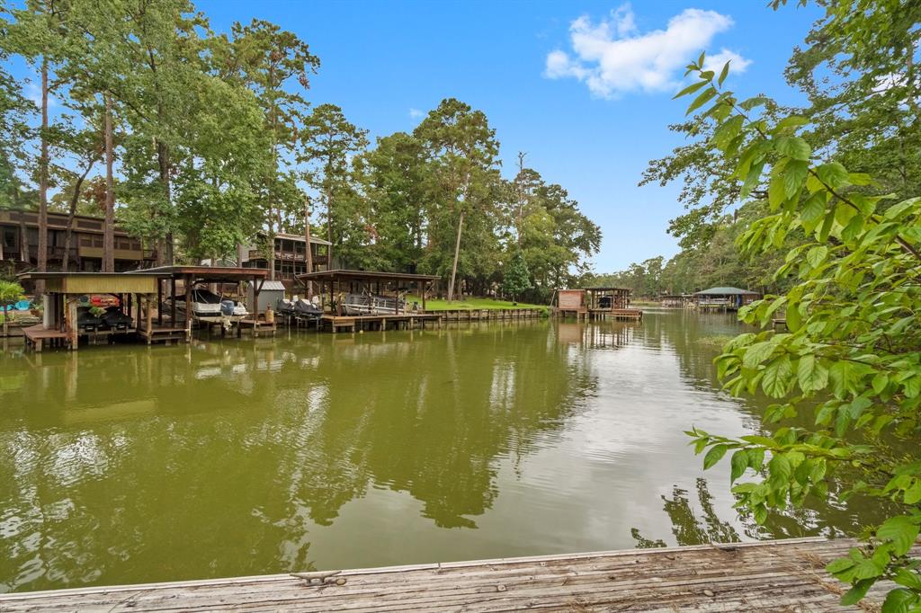 40 S Lakeview Drive, Point Blank, Texas image 40
