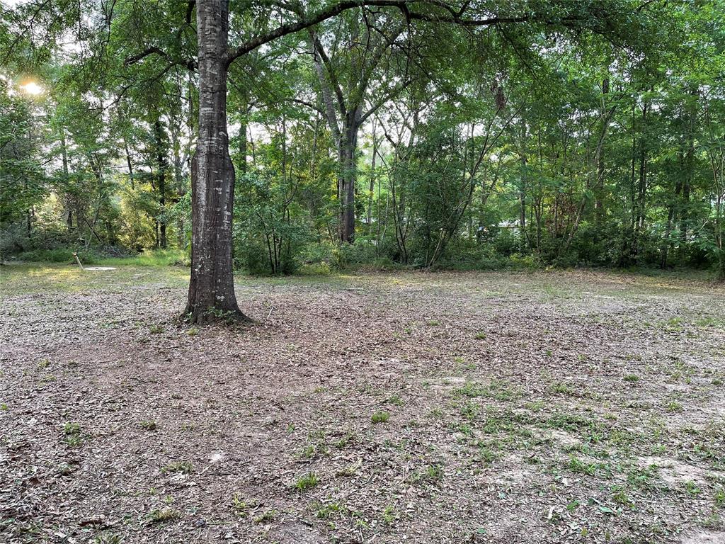 671 Sandy Creek Road, Willis, Texas image 5