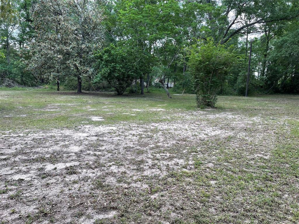 671 Sandy Creek Road, Willis, Texas image 11