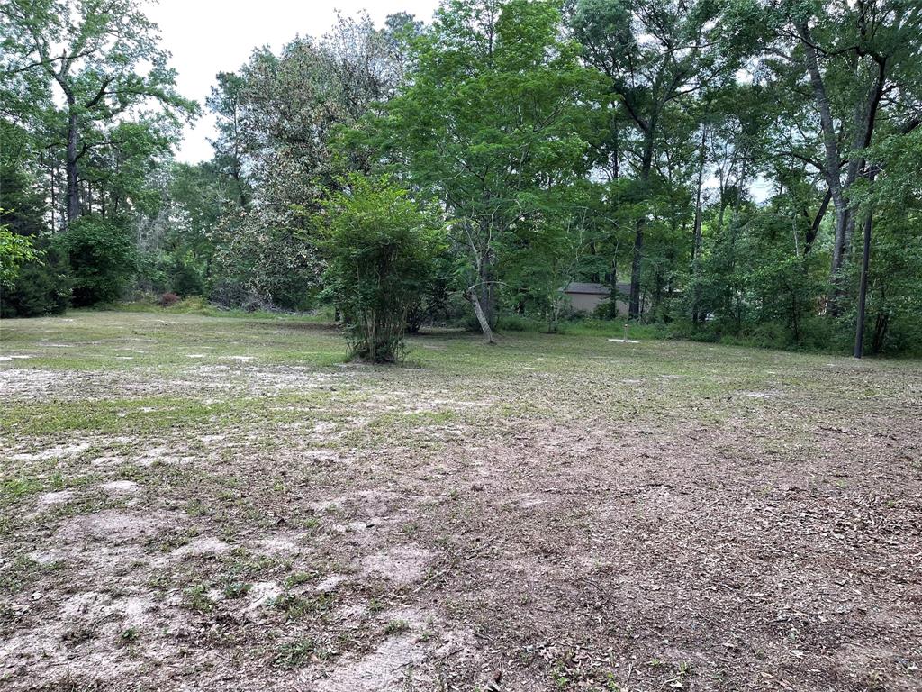 671 Sandy Creek Road, Willis, Texas image 12