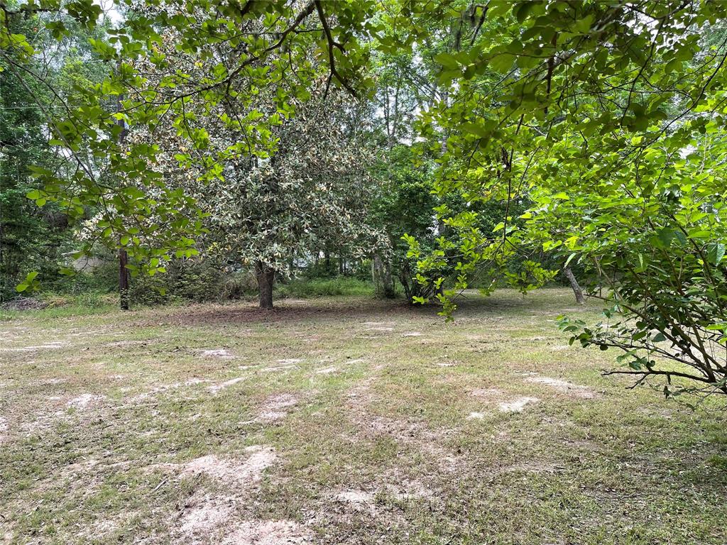671 Sandy Creek Road, Willis, Texas image 18