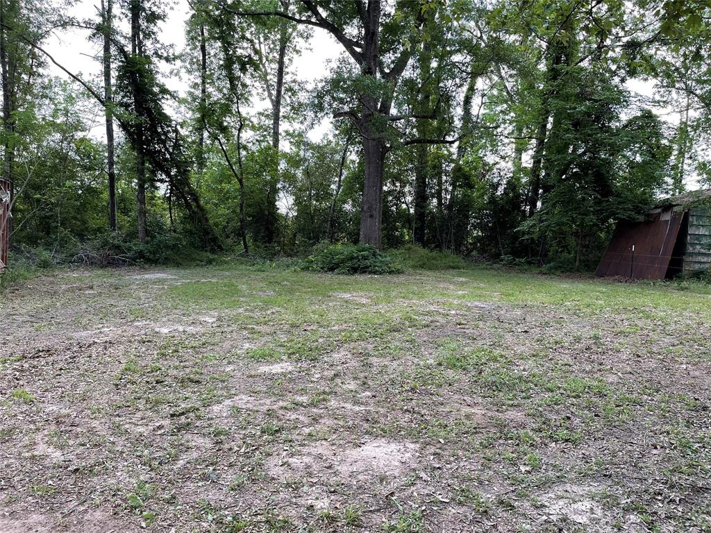 671 Sandy Creek Road, Willis, Texas image 4