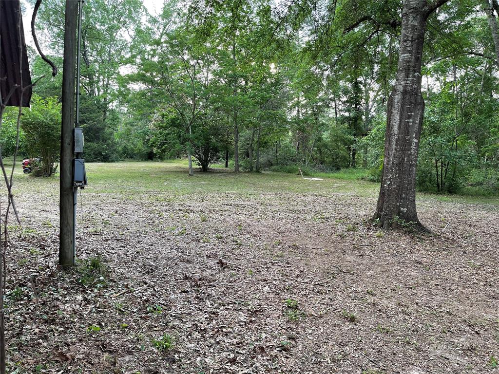 671 Sandy Creek Road, Willis, Texas image 6