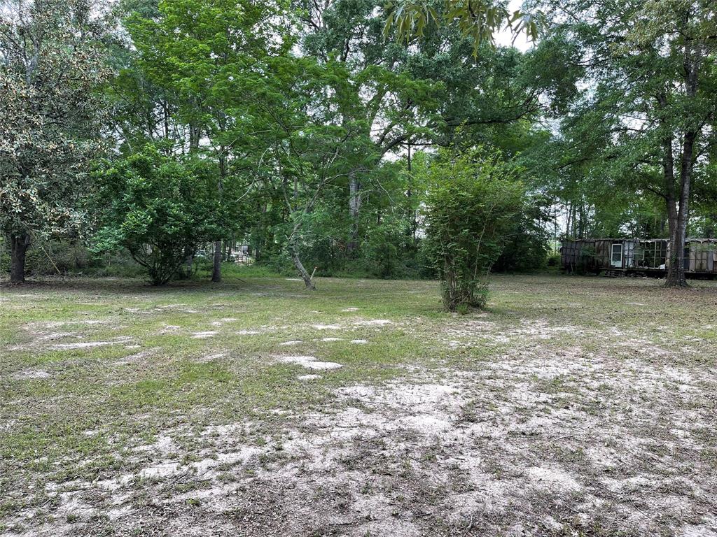 671 Sandy Creek Road, Willis, Texas image 10