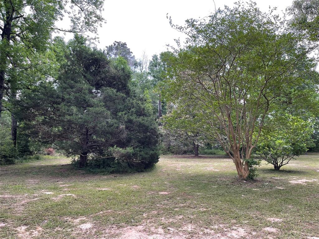 671 Sandy Creek Road, Willis, Texas image 17