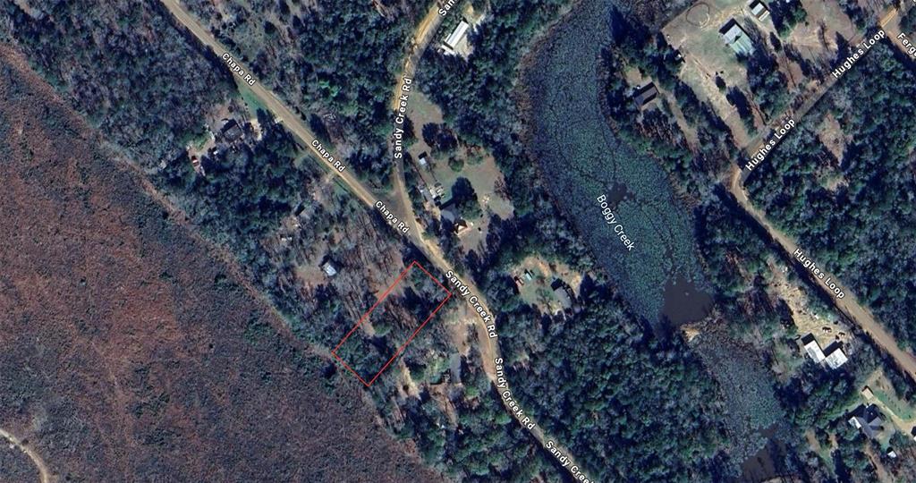 671 Sandy Creek Road, Willis, Texas image 19