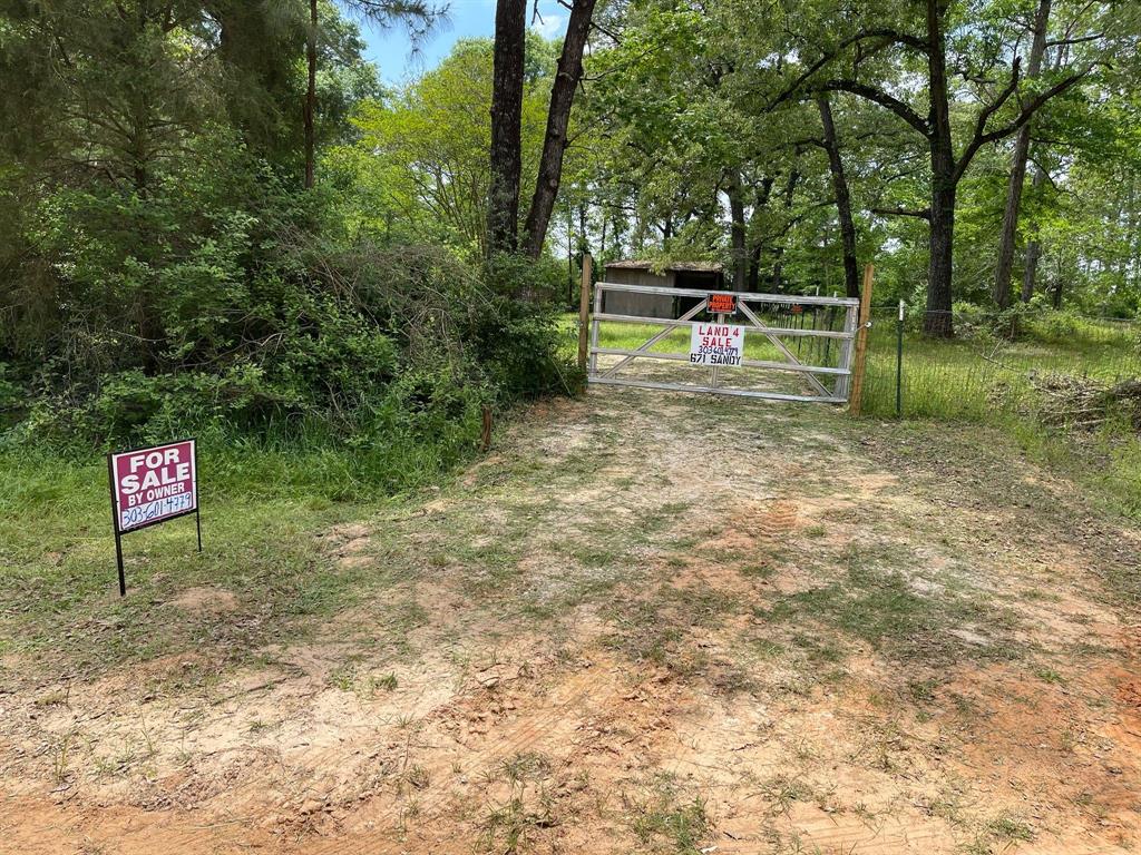 671 Sandy Creek Road, Willis, Texas image 1