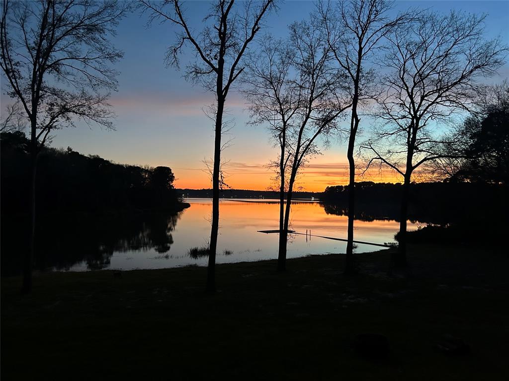 TBD Pine Island Cove Road, Grapeland, Texas image 45