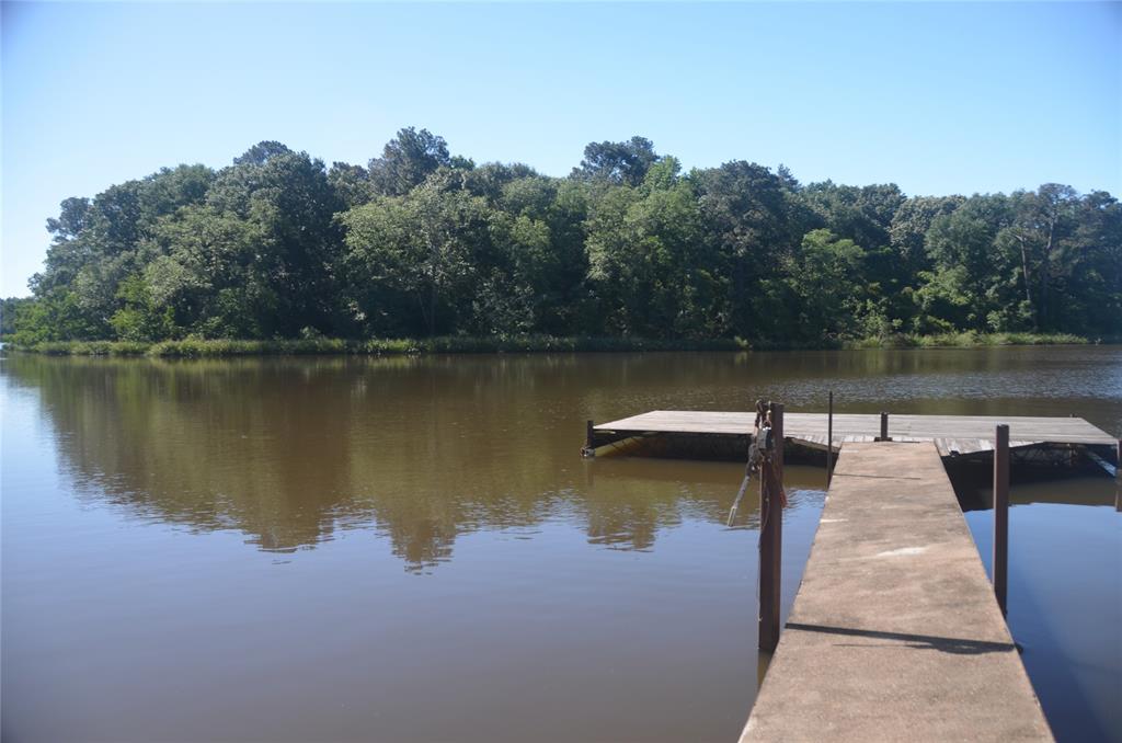 TBD Pine Island Cove Road, Grapeland, Texas image 40