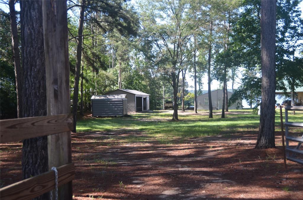 TBD Pine Island Cove Road, Grapeland, Texas image 30