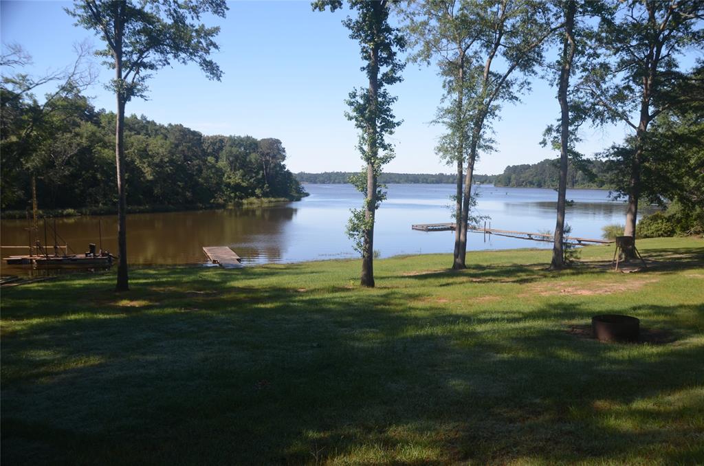 TBD Pine Island Cove Road, Grapeland, Texas image 4