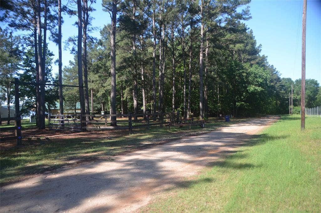TBD Pine Island Cove Road, Grapeland, Texas image 31