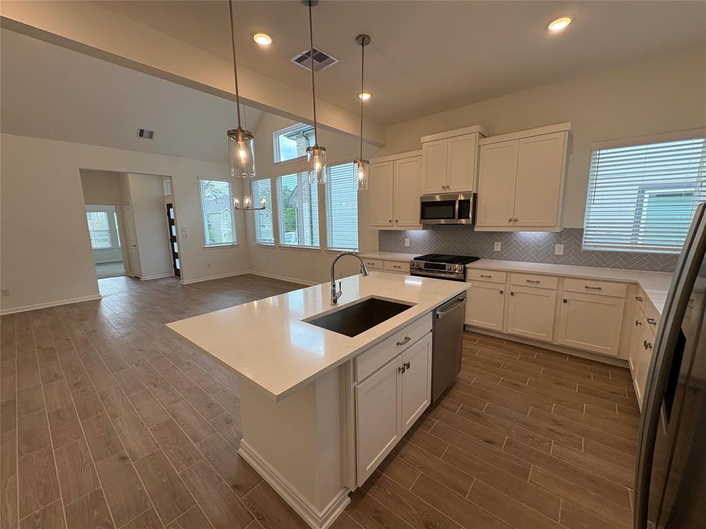 208 Cider Gum Place, Montgomery, Texas image 7