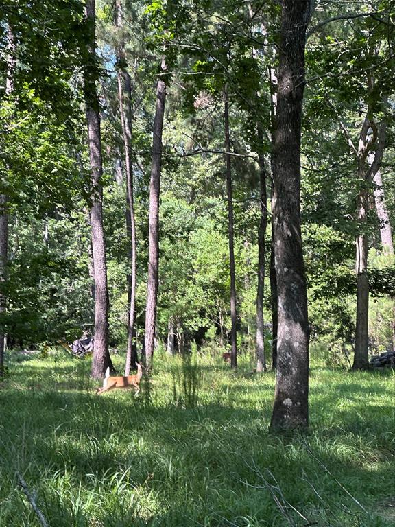 TBD Reserve Bend Drive, Huffman, Texas image 3