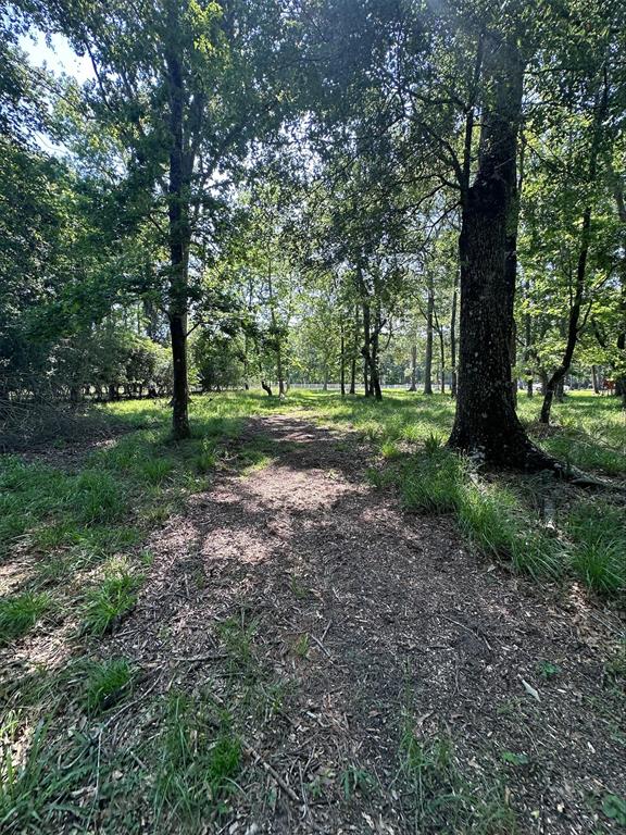 TBD Reserve Bend Drive, Huffman, Texas image 1