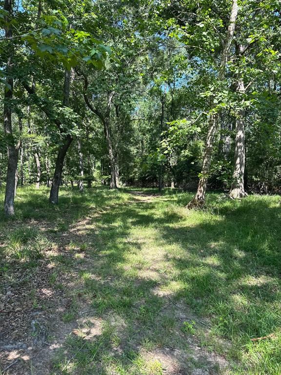 TBD Reserve Bend Drive, Huffman, Texas image 5