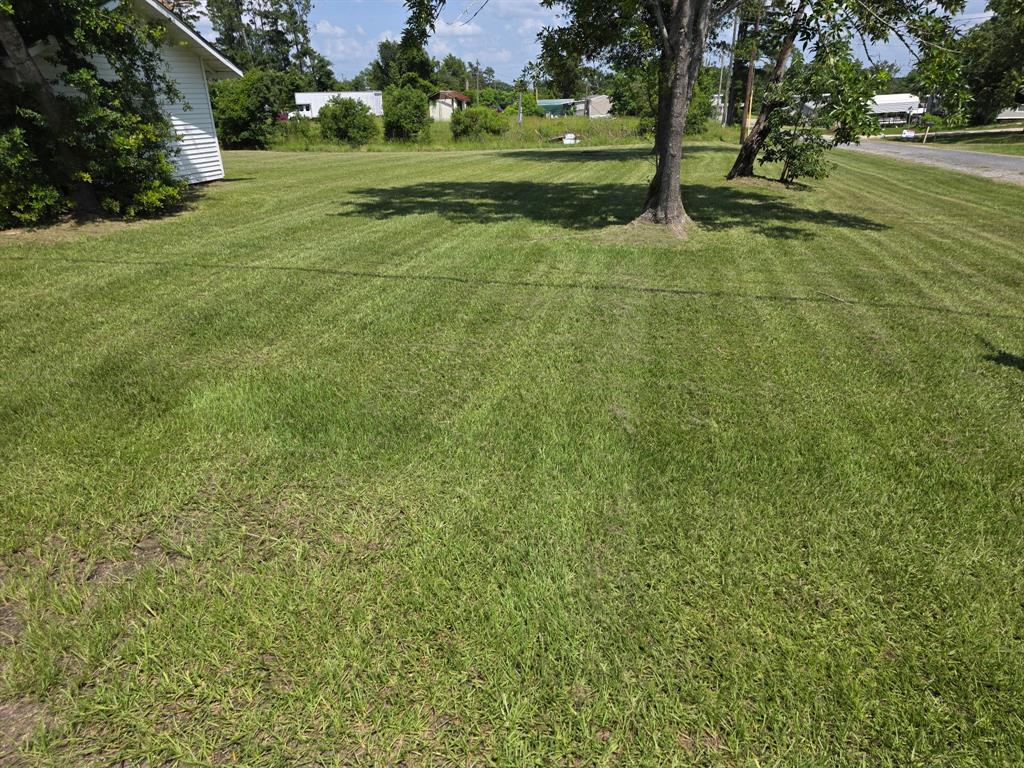 754 Yaupon Cove Drive, Onalaska, Texas image 2