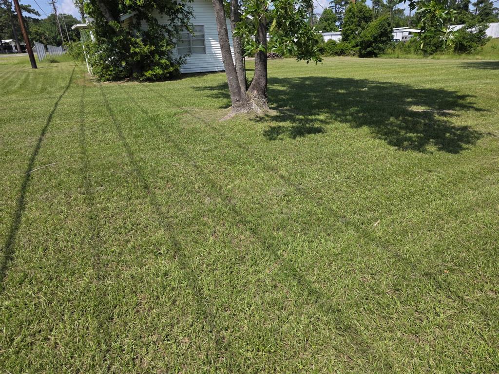 754 Yaupon Cove Drive, Onalaska, Texas image 4