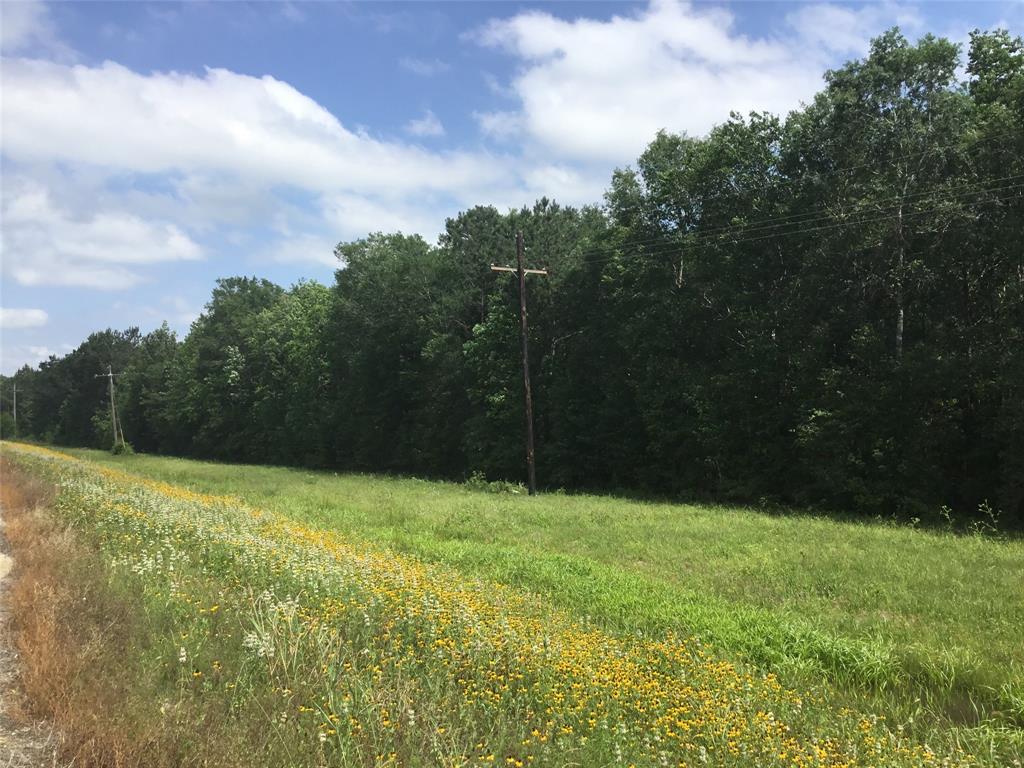 Hwy 90, Liberty, Texas image 10