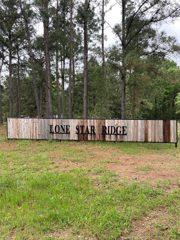 Tract 171 Calhoun Ct, Lovelady, Texas image 28
