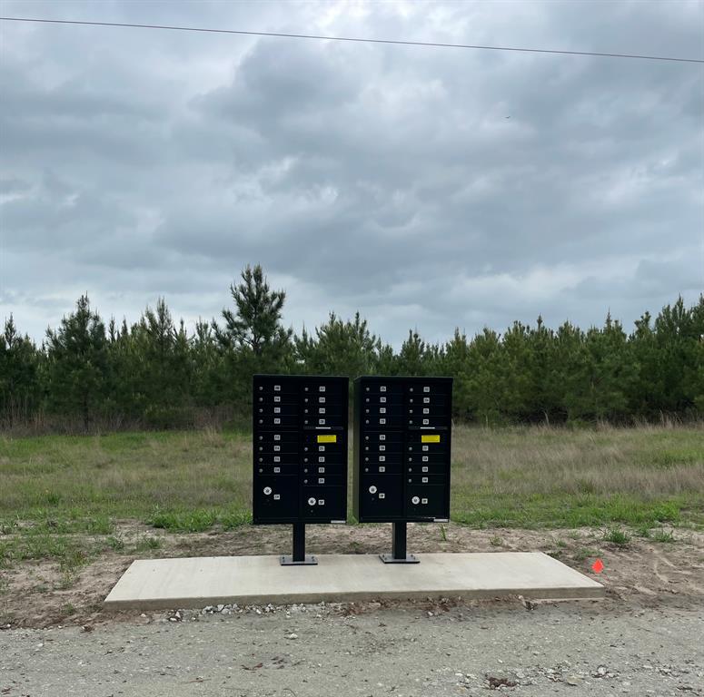 Tract 171 Calhoun Ct, Lovelady, Texas image 26