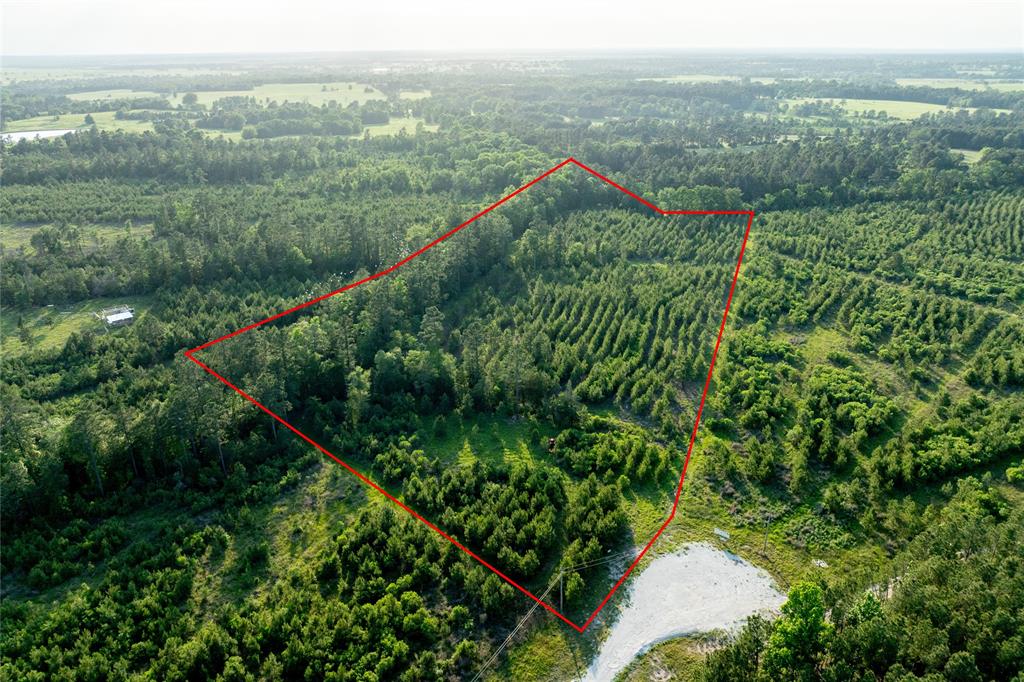 Tract 171 Calhoun Ct, Lovelady, Texas image 14
