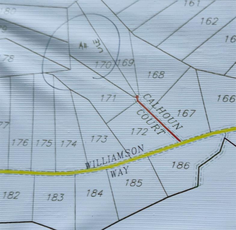 Tract 171 Calhoun Ct, Lovelady, Texas image 29