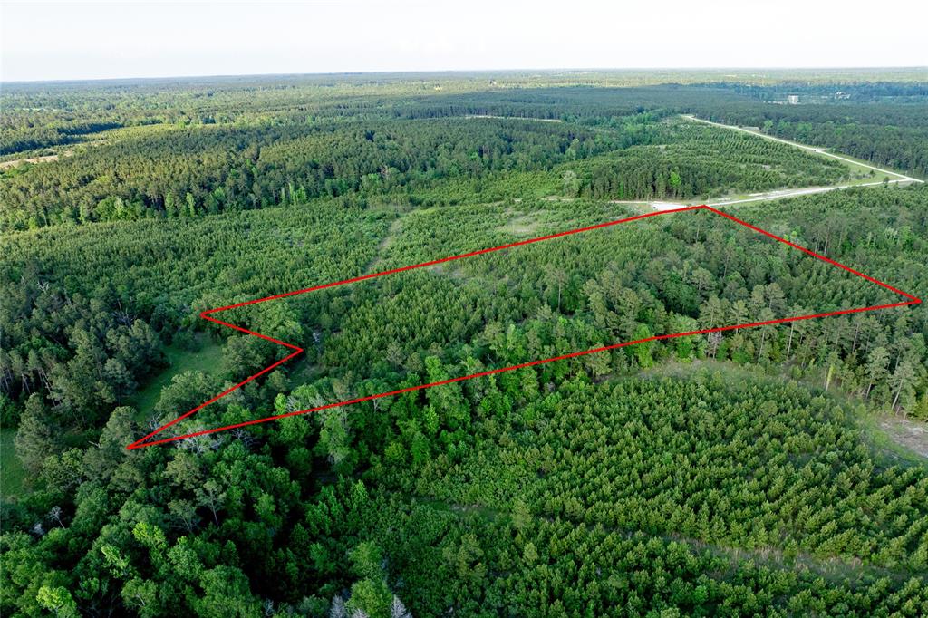 Tract 171 Calhoun Ct, Lovelady, Texas image 11