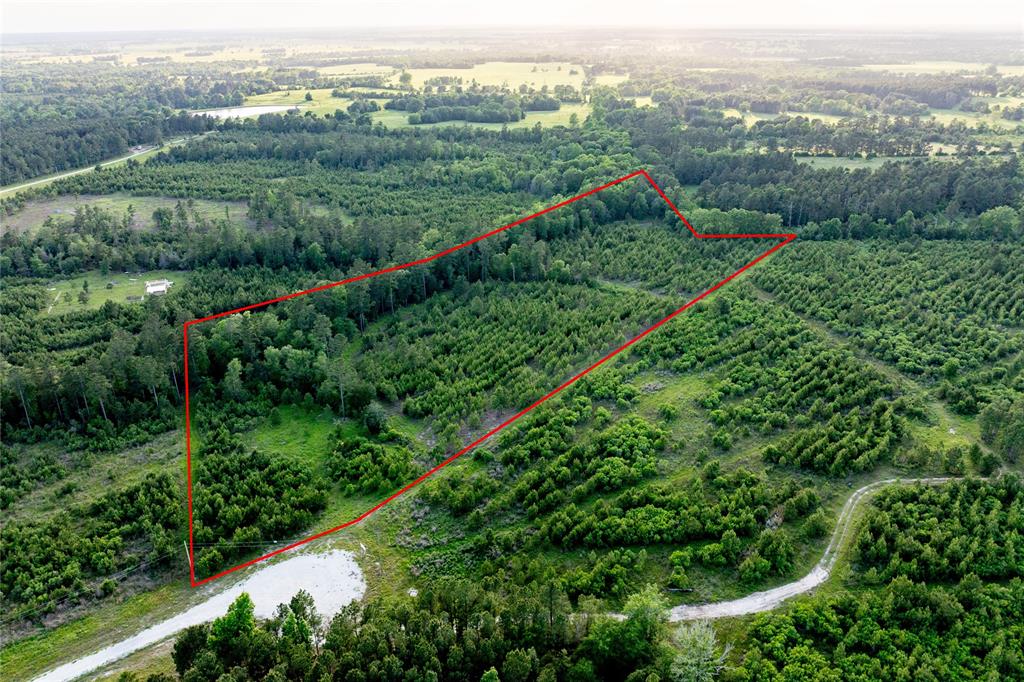 Tract 171 Calhoun Ct, Lovelady, Texas image 7