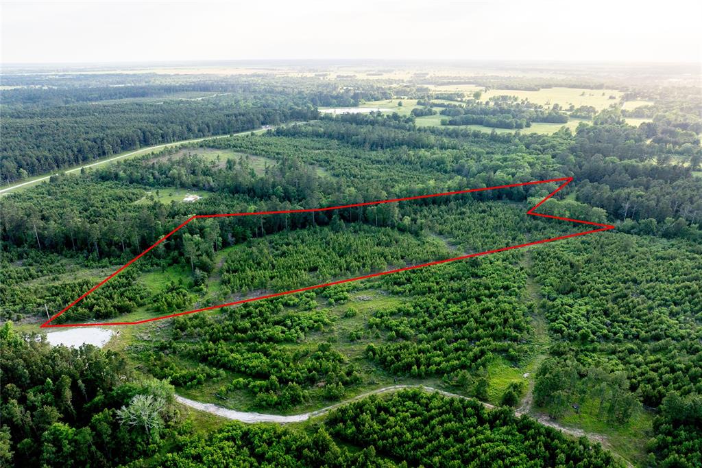 Tract 171 Calhoun Ct, Lovelady, Texas image 8