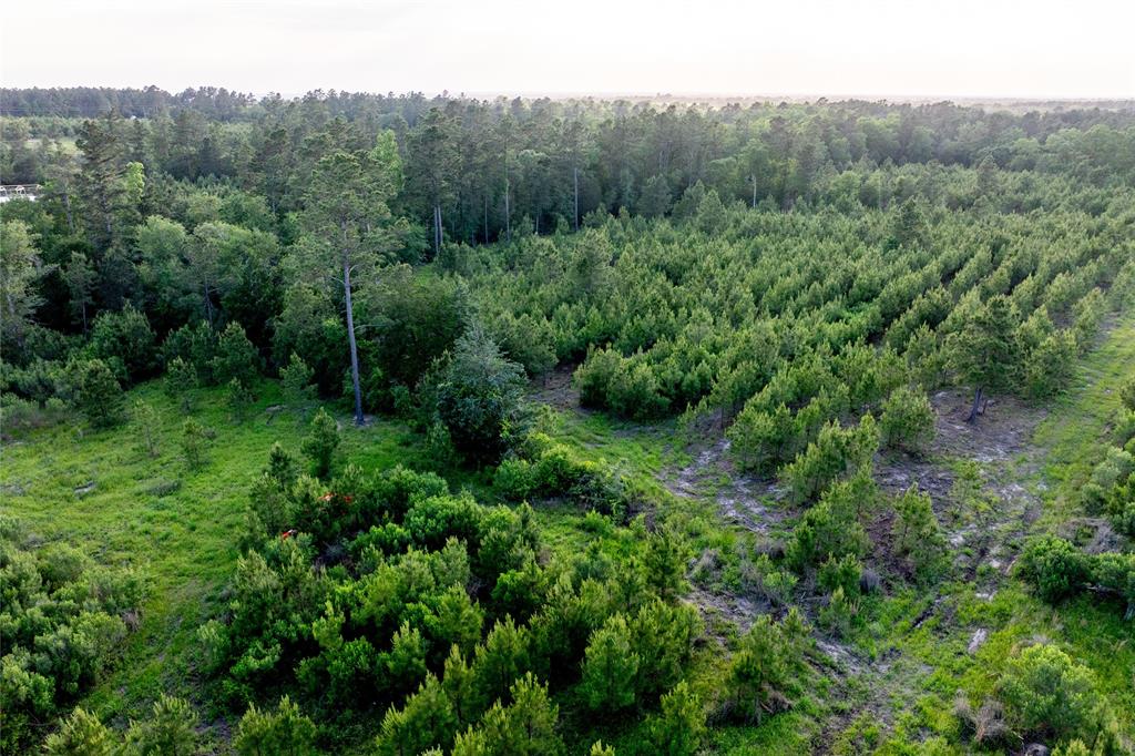 Tract 171 Calhoun Ct, Lovelady, Texas image 6