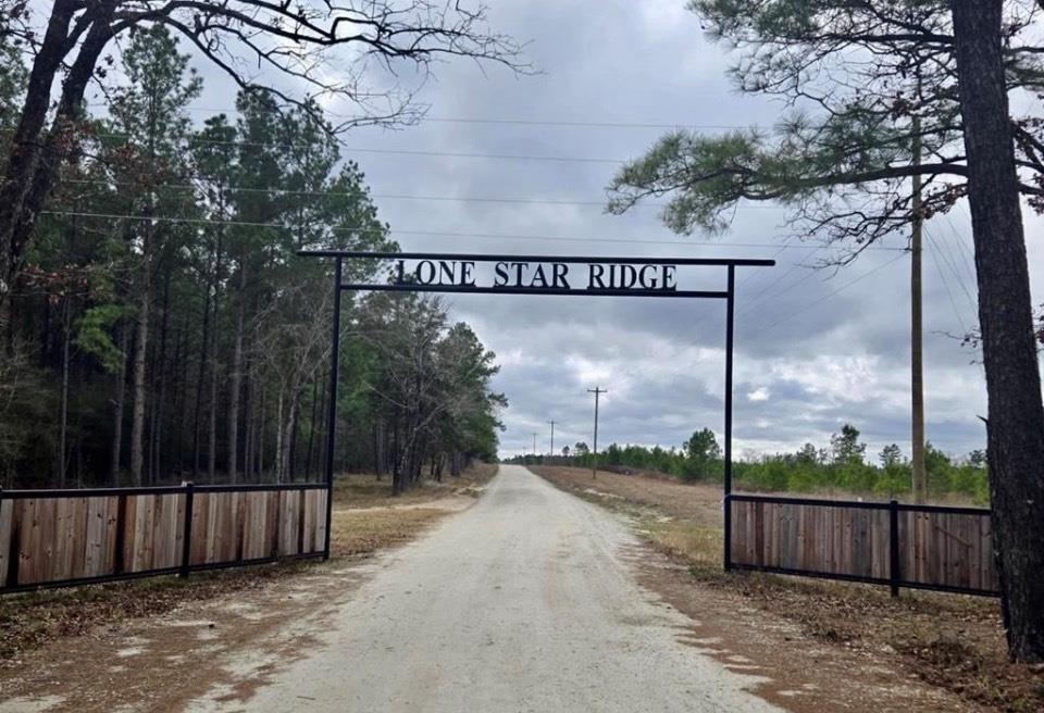 Tract 171 Calhoun Ct, Lovelady, Texas image 25