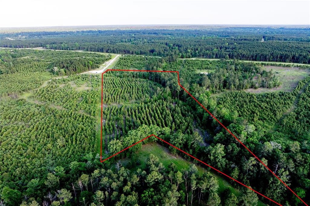Tract 171 Calhoun Ct, Lovelady, Texas image 10