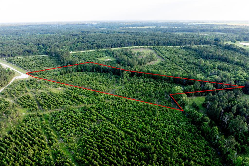 Tract 171 Calhoun Ct, Lovelady, Texas image 9