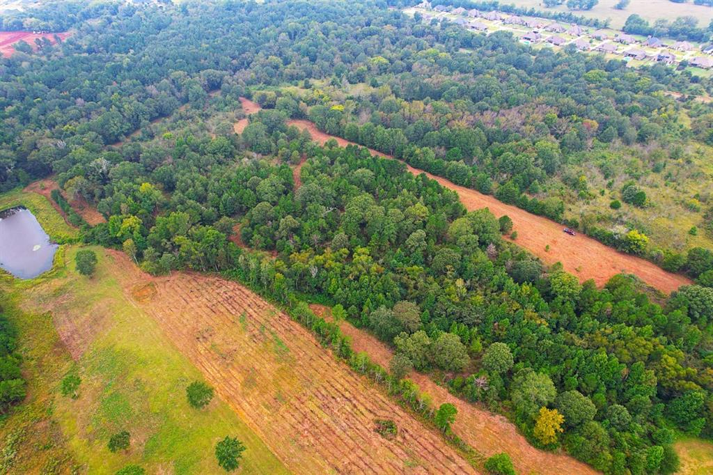 TBD County Road 152 W, Bullard, Texas image 15