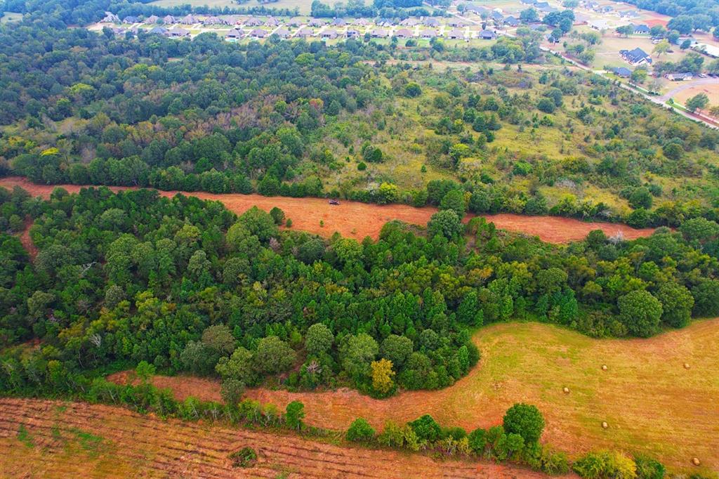 TBD County Road 152 W, Bullard, Texas image 16