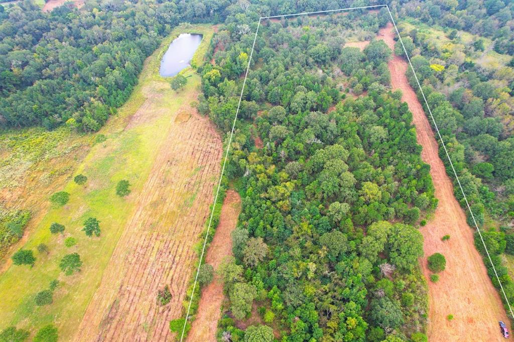 TBD County Road 152 W, Bullard, Texas image 18