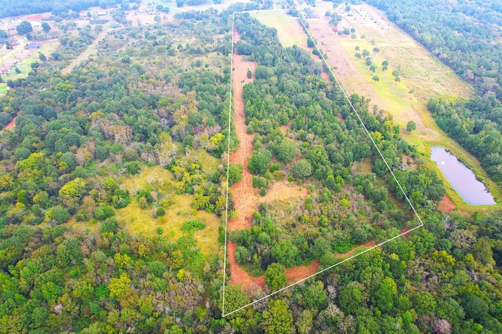 TBD County Road 152 W, Bullard, Texas image 2